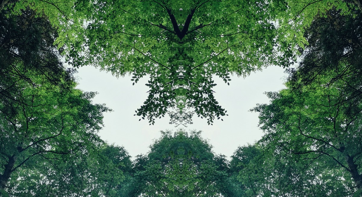 3 motivations for goals