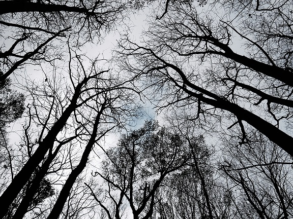 Gemma King — transformational life coach helping people move through darkness toward growth and clarity